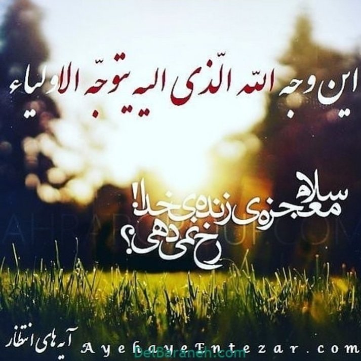 ms_fa00's tweet photo. #عید_بیعت
#اللهم_عجل_لوليك_الفرج 
آغاز امامت امام زمان عجل الله تعالی فرجه الشریف را به تمام شیعیان تبریک میگویم https://t.co/1p3n8MECtI