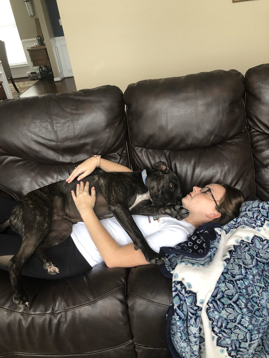 kayleyesmith's tweet photo. I came across this first picture when applying for an apartment. The second picture is my "vicious" pitbull. It's ridiculous that my dog who is an actual baby can't stay with me because of old and completely false stereotypes. Dogs are vicious if you breed them to be. https://t.co/5JaeK7TLYW