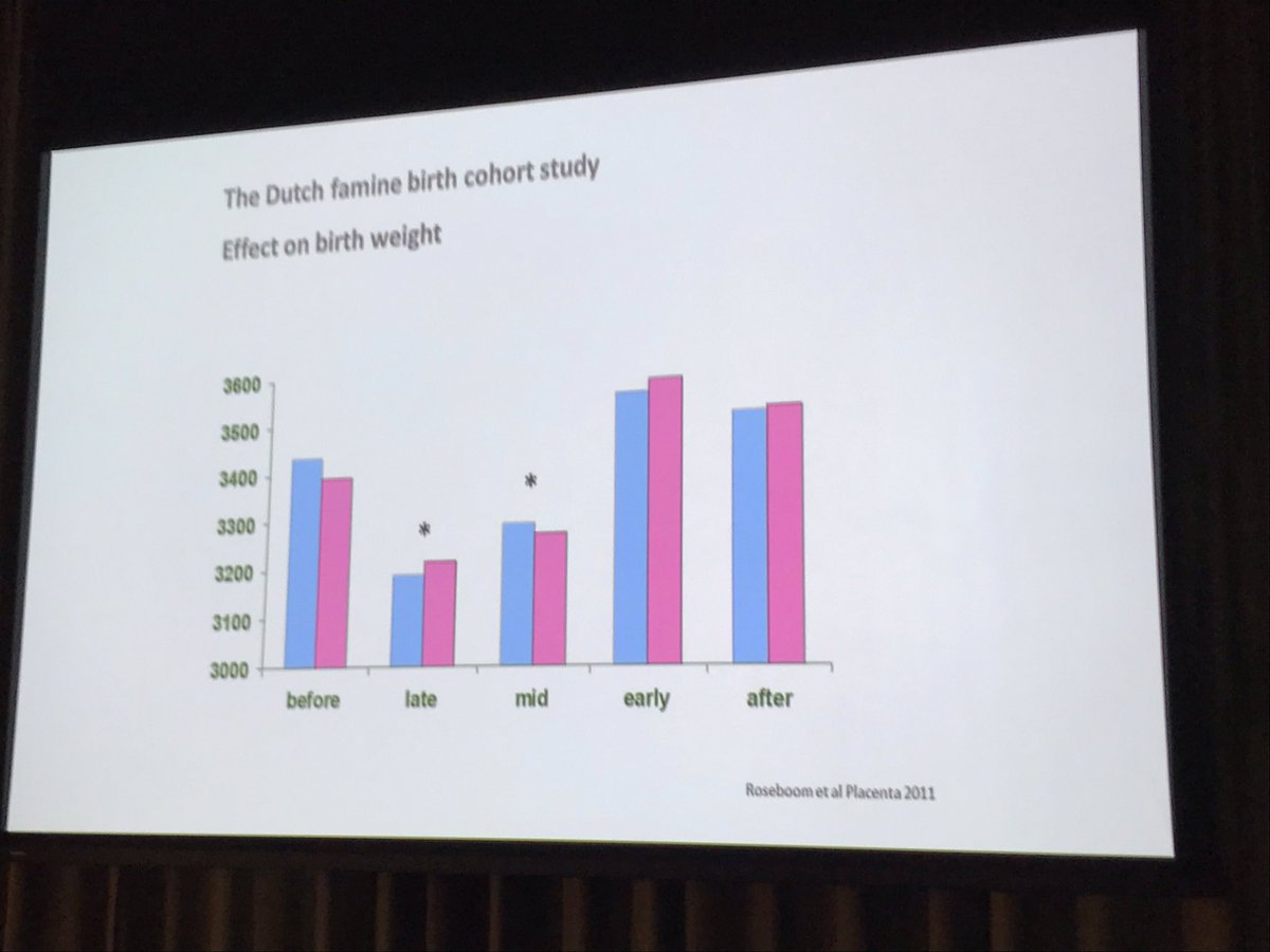 Not the first time I’ve heard Dr. Tessa Roseboom speak about the effects of the Dutch Famine on Perinatal outcomes, but it never gets boring.  #howluckyamI