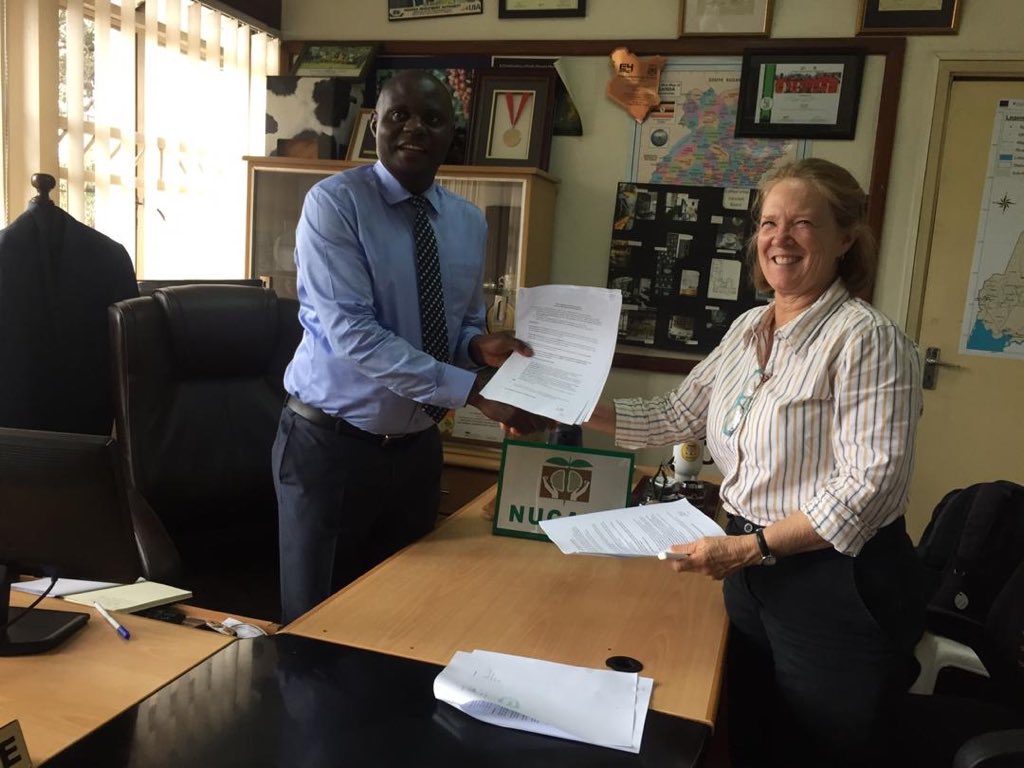 DeusdeditNuwaga's tweet photo. To enhance increased #Coffee Production especially among #smallholder farmers, @NUCAFE95 #ED  @Josephnkandu1 signs into partnership an #MOU w/ #Simusolar to accelerate farmers’ #Access of #Solar Powered Irrigation pumps on affordable Credit terms in Uganda.Farming made possible https://t.co/UhBVpWq7Si