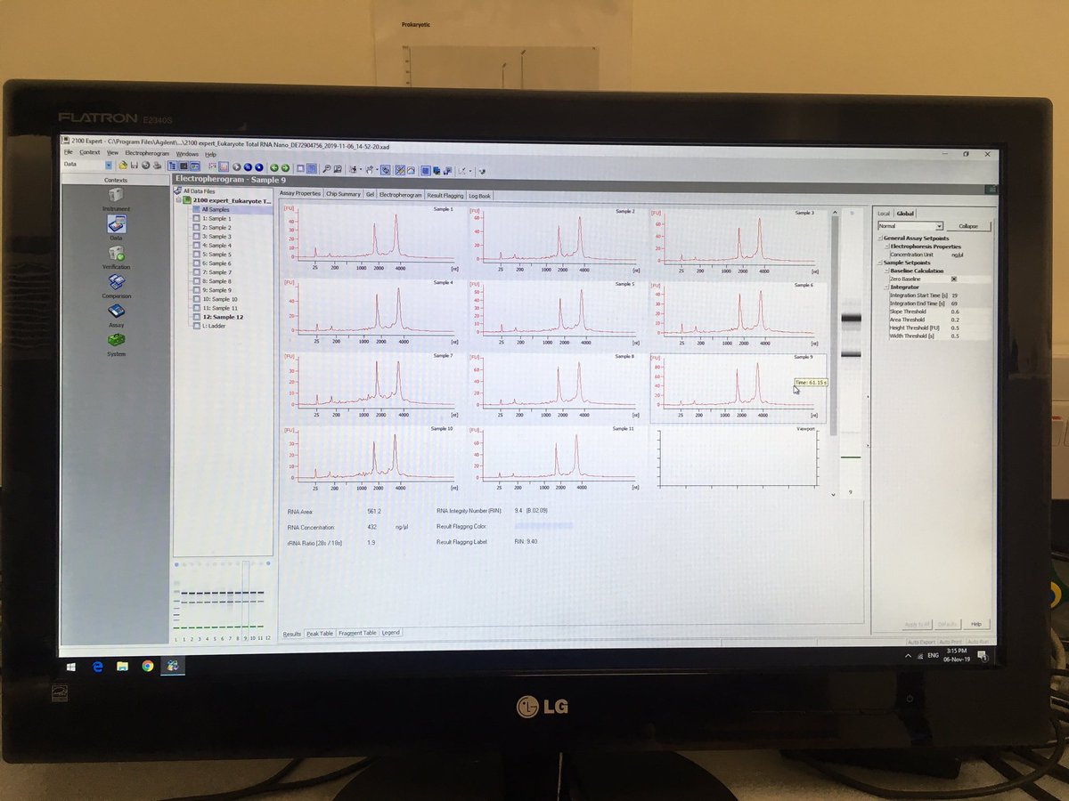 AmelieOrange's tweet photo. what makes you happy these days? These beautiful graphs #RNAquality #RNAseq #tissuedigestionworks! https://t.co/OYLQEhp78N