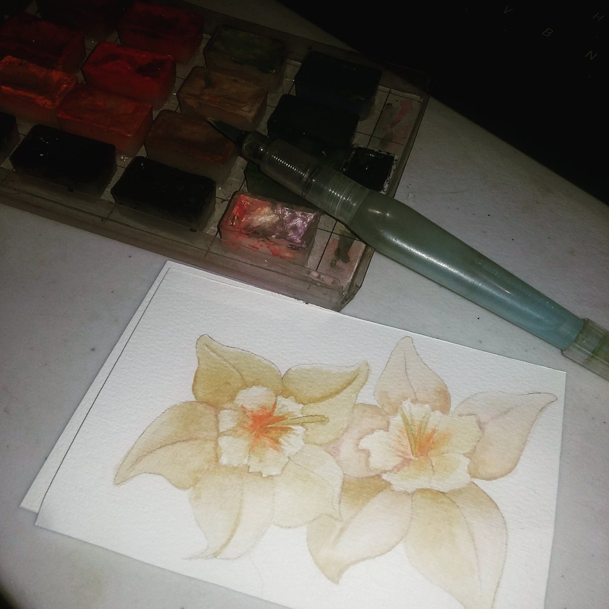ZilFoxil's tweet photo. Vanilla Flowers 
#working #commission  #zilfoxxxilstudio
#vanilla #flowers #botanical #botanicalillustration #practiceisprogress #watercolours https://t.co/Fz1Ea96BWW