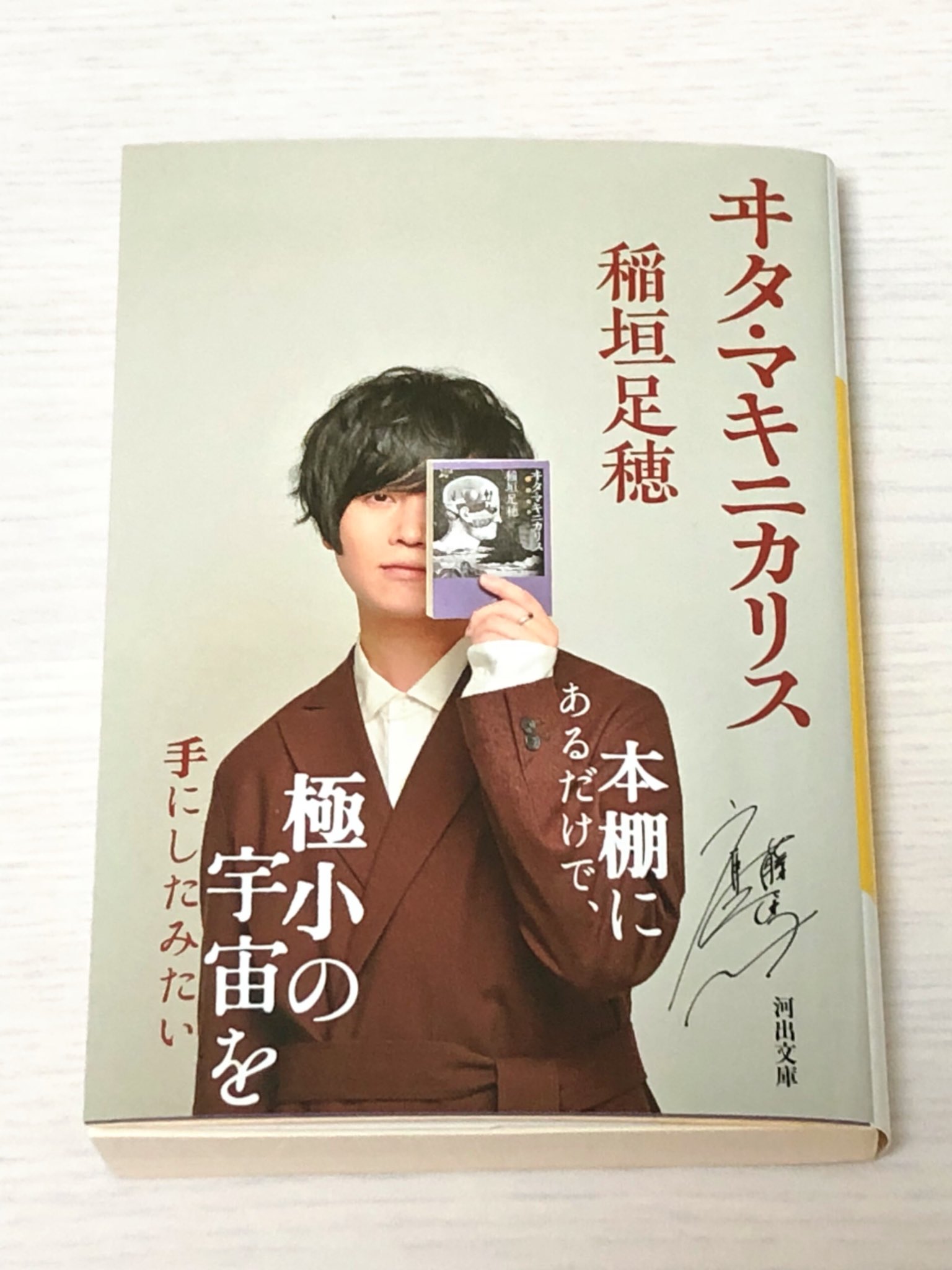 煙 稲垣足穂 ヰタ マキニカリス 河出文庫 シャンパングラスを月の方に向けて こぼれてくる光を受けとり ムーンライトコックテイル 想像するだけで胸がときめく世界観 青井秋先生の ステラリウム を読み返したくなった 河出文庫ベスト