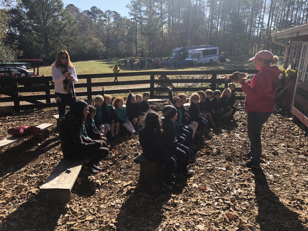 drifdavis's tweet image. Learning about chickens and roosters #davisme