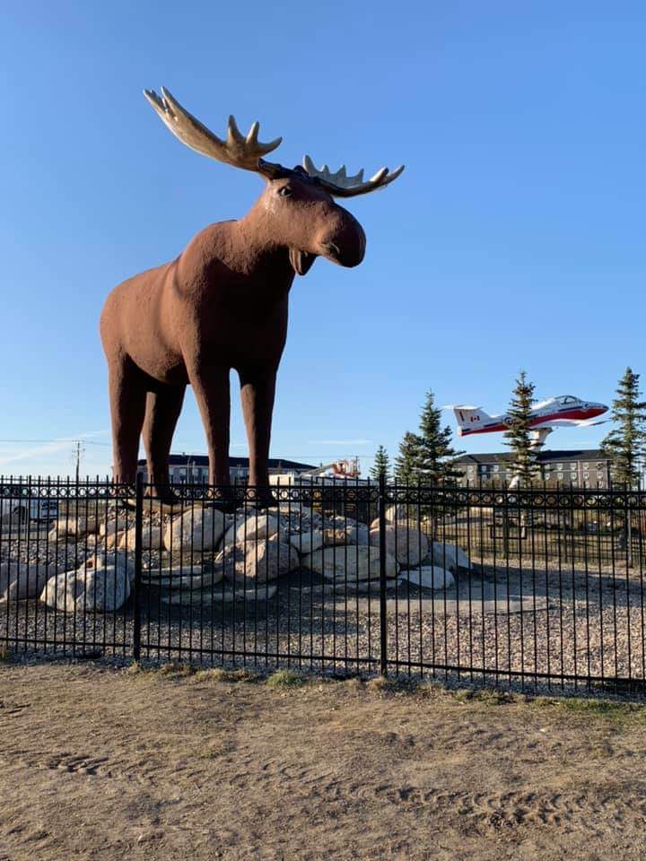 MoneyMasterYET's tweet photo. @wealthy_barber Hey!   Welcome to Sask ;)  Its a lot warmer in the Tunnels of Moose Jaw.  My treat?  Reach out via email?   Would love to say hello,  and you could meet the new Mac the Moose! https://t.co/4glcSCNyeM