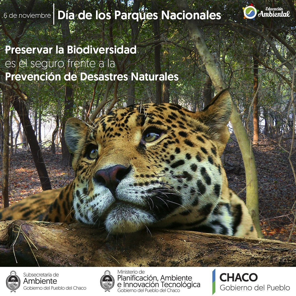 La provincia del Chaco cuenta con 500.000 hectáreas en estado de conservación de las cuales 145.000 pertenecen al territorio de 2 Parques Nacionales.

#ParquesNacionales
#DiadelosParquesNacionales 
#ParqueChaco 
#AmbienteSomosTodos
#SomosAmbiente