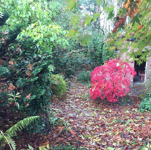 Huizen voor de Toekomst tweet media
