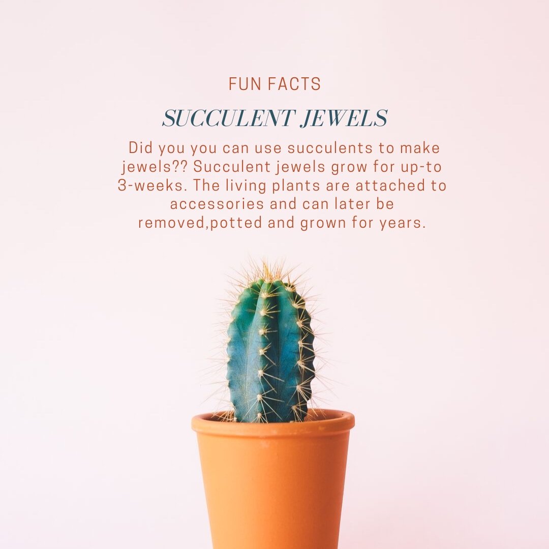 GardenstoneMfg's tweet photo. Have you every thought of putting on living jewelry??Well you can wear succulent jewels which you can replant later in your planters.

Check our gardening accessories and planters: 

https://t.co/3Zue3VADoO

#Livingjewelry #succulent succulentjewelry #flowercrown #flowerstowear https://t.co/oySTq2cTur
