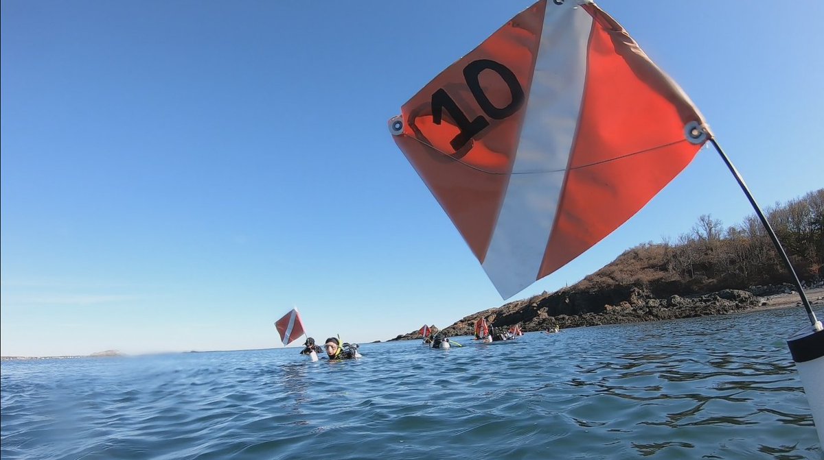 Andrew McCue tweet media