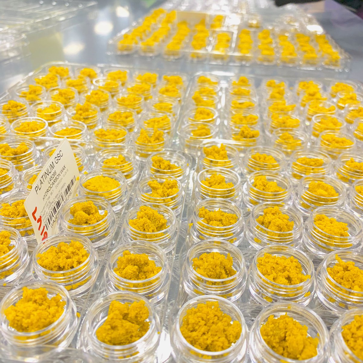 regulatorxtract's tweet photo. Platinum Girl Scout Cookies!🔥🍪 https://t.co/HmVHEpTHw8