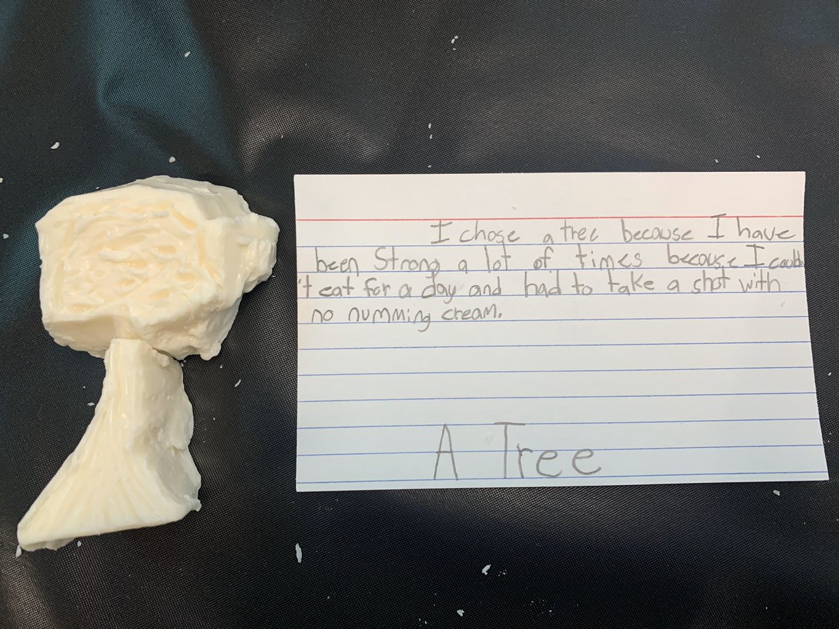 MrsKnuevenSTEM's tweet photo. We wrapped up our realistic fiction unit this week! Through our study of Tiger Rising, we discussed symbolism. For our reading celebration, each student picked an animal or object that symbolizes something about him/herself and carved it out of soap. @ZCSStonegate @LucyCalkins https://t.co/GOXY7xRdzP