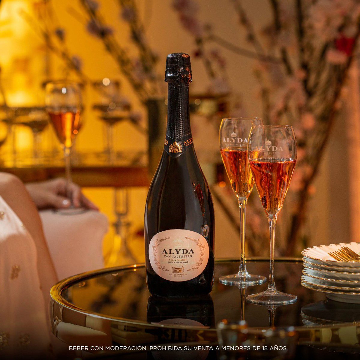 BodegaSalentein's tweet photo. Alyda van Salentein Brut Nature Rose es nuestro nuevo Cuvee Prestige,  fino y delicado, inspirado en esta mujer poseedora de un espíritu inquieto y sensible.
.
#wines #vino #bodegas #viñedos #vides #valledeuco #salentein #salenteinwines #salenteinbodega https://t.co/35JFQ5oPIf