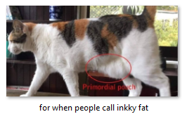 ready to defend her honor