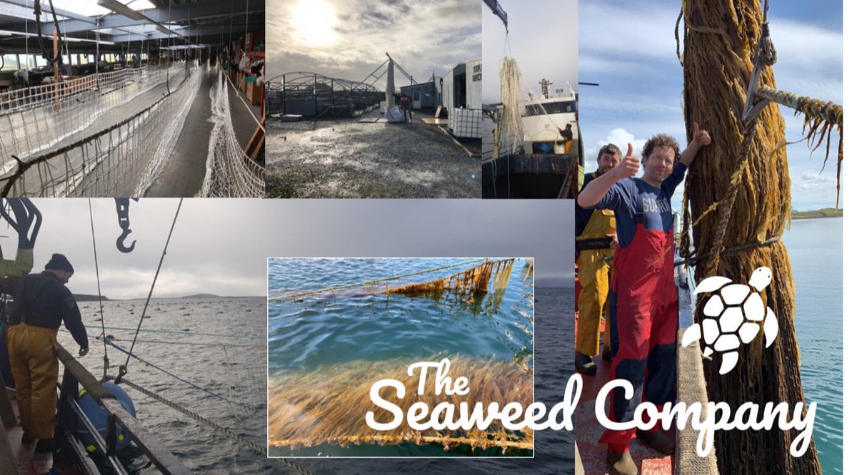 <a href="/joostwouters/">Joost Wouters</a> fell in love with seaweed about three years ago 🌊 He co-founded The Seaweed Company and now knows all about its cultivation and the many valuable applications of it. We are happy to welcome him on stage for Blue Economy Night 2019! ► bit.ly/blueeconomynig…