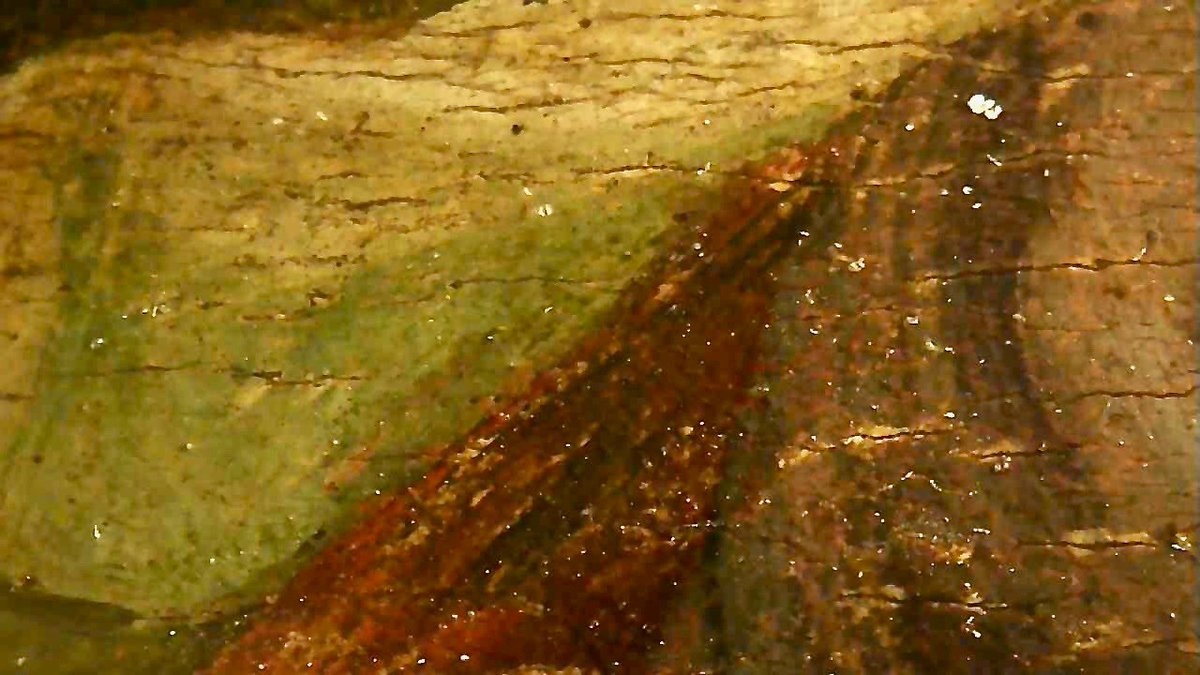 Leonardo in microscope