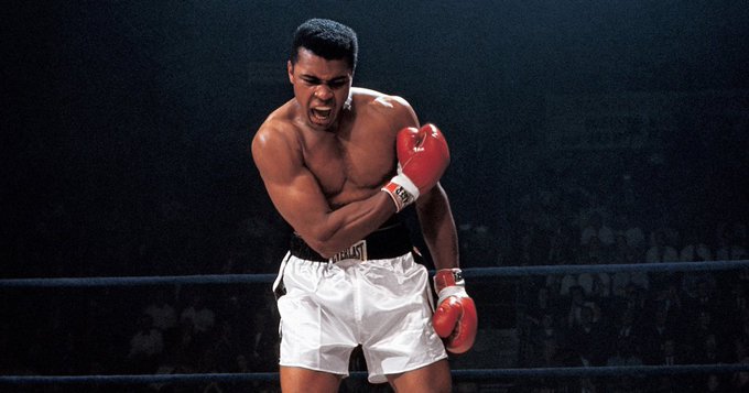 goldmedalmind's tweet photo. “What you're thinking is 
what you're becoming." 
—Muhammad Ali 

🥊 https://t.co/yrU5fOtVDE

Be your own 🐐 https://t.co/BQu3WK4NYk