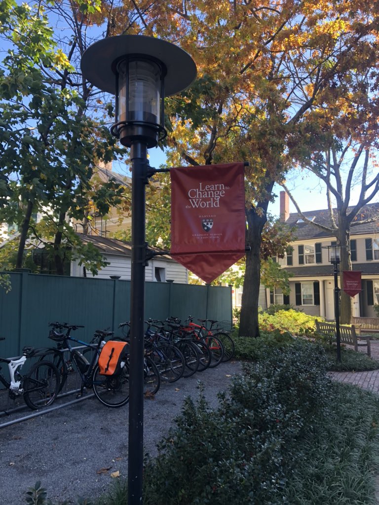 When you know your WHY, your WHAT has more impact because you’re walking in or towards your purpose.