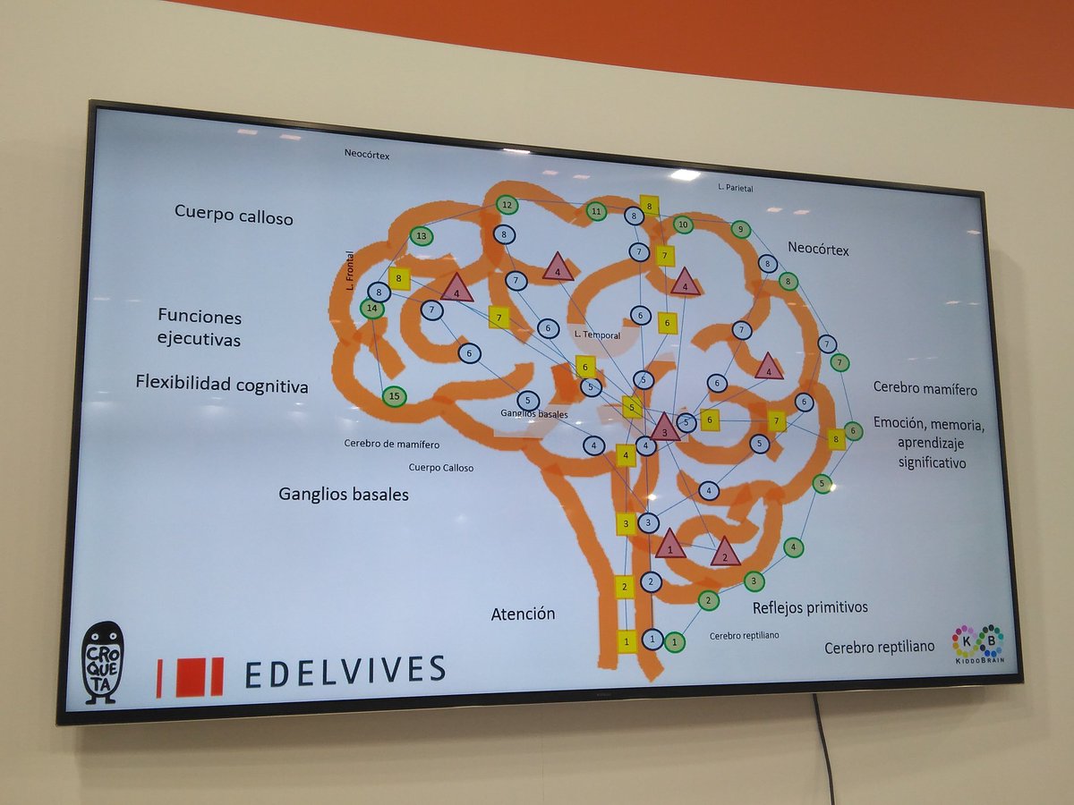 EdelvivesPRO's tweet image. Fascinante la Misión Neuro: un viaje al origen del aprendizaje con @soniperezvara, autora de la parte de neuromotricidad del proyecto #CroquetaEdelvives
Ya sabes: #hacerlacroqueta ayuda al desarrollo del cuerpo calloso.
#SIMOEDU19
