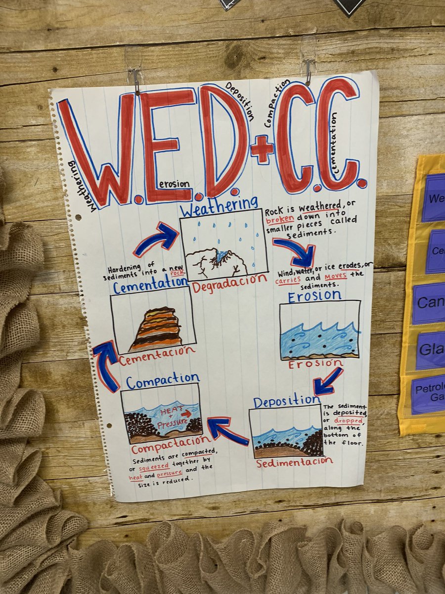 Sedimentary Rock Anchor Chart