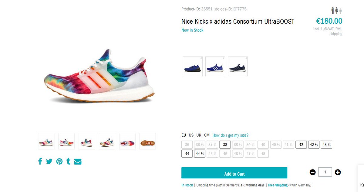 sneaker nice website