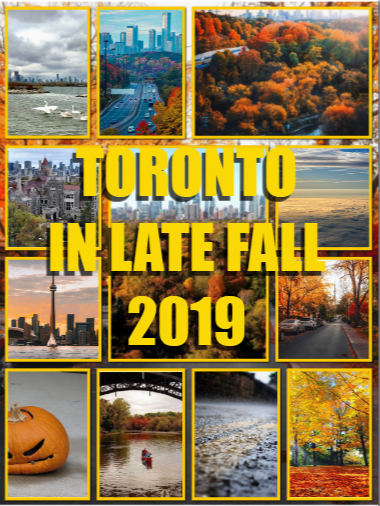 TORONTO IN LATE FALL 2019: Images & articles celebrating the beautiful City of Toronto in all its autumnal glory!
bit.ly/2WNhUcc

#Toronto #Torontorealestate #torontofall #torontoautumn #torontocolours #torontopics