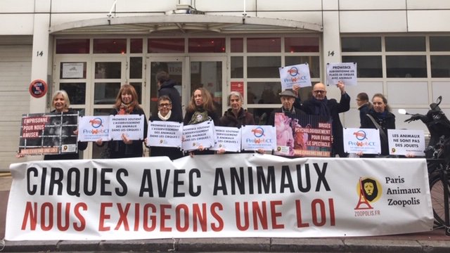 paz_zoopolis's tweet photo. 😱Aujourd'hui, PAZ était devant le siège de #ProwebCE qui refuse de s'engager à cesser de proposer des places de cirque avec animaux sauvages alors que les attentes sociétales sont sans ambiguïté.
🦁https://t.co/B7LIonDhLB
#cirqueSANSanimaux #CE #Edenred #ExigeonsUneLoi https://t.co/x8N7DzFVgS