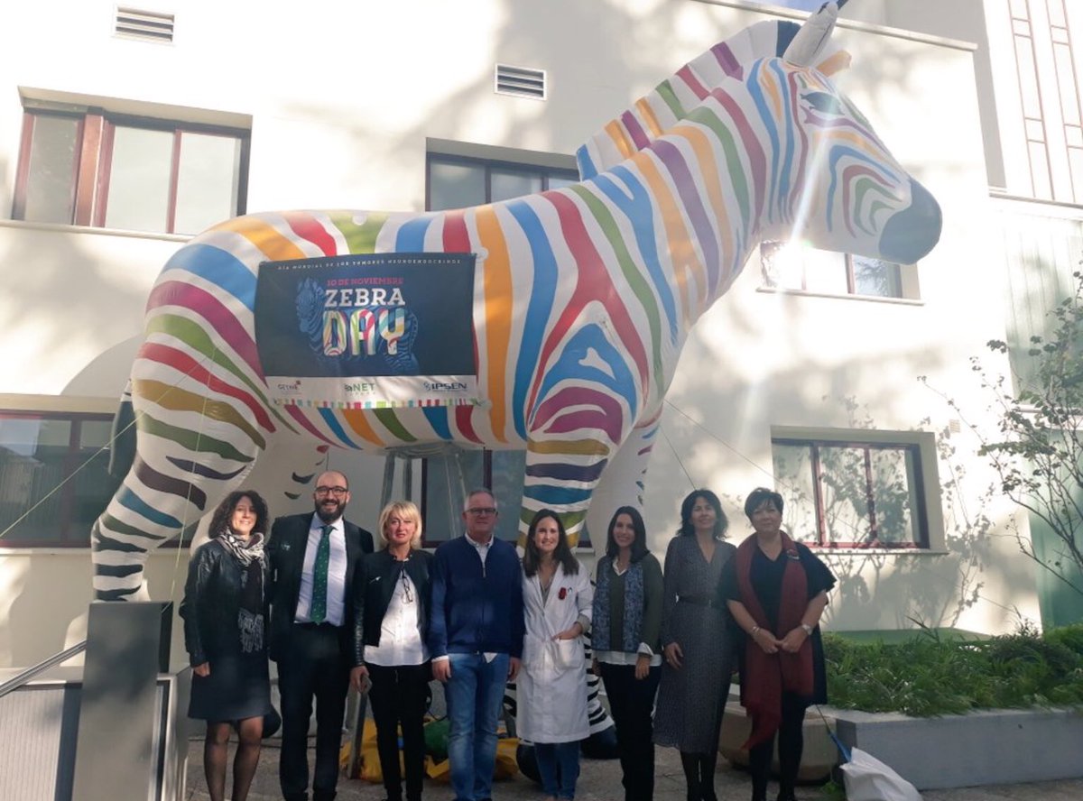 NoInvisibles's tweet photo. Hoy  #zebraday
Para dar visibilidad a los #TNE #TumoresNeuroEndocrinos
Profesionales de #MedicinaNuclear @HUReinaSofia @IMIBIC #ChangethecolorofNETs @Netespana @GrupoGetne @SEMNIMoficial @IpsenGroup @MDAnderson_ES @oncomet_ 
Implicados en investigación, diagnóstico y tratamiento. https://t.co/0pYw5mSkyF