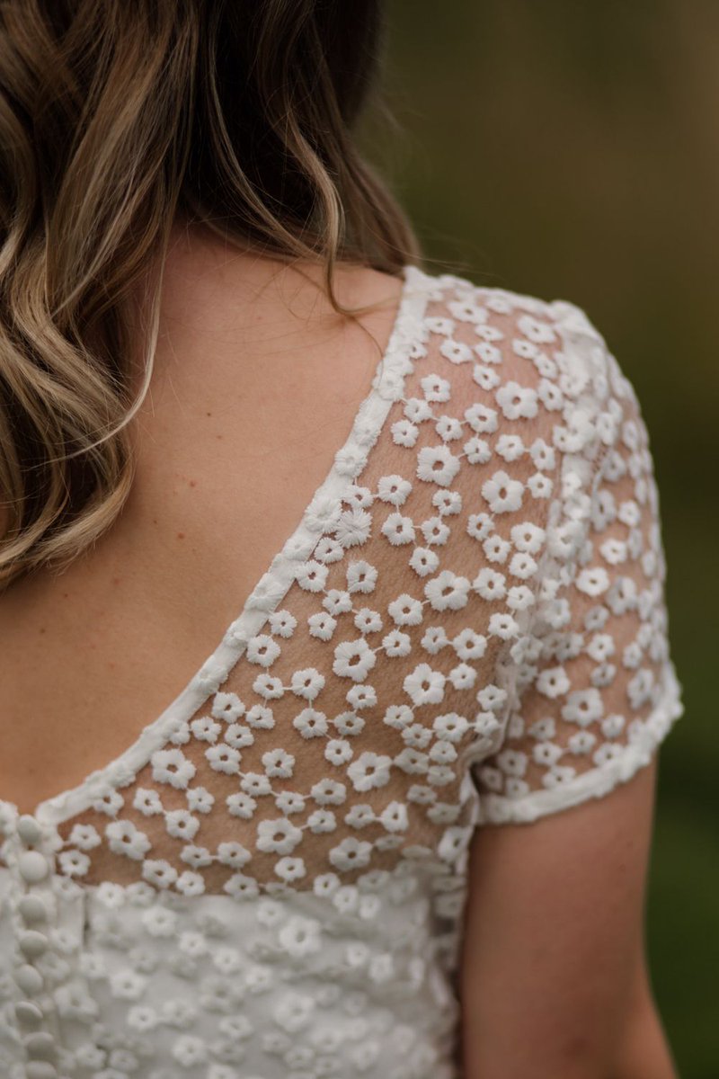 Whimsical Wonderland tweet media