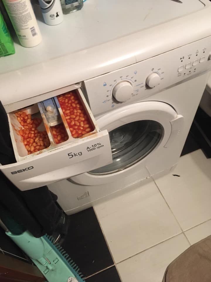 BeansInThings's tweet image. 