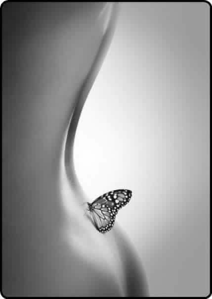 njeastman's tweet photo. #WhimsicalWednesday 
~ https://t.co/nmID7EqLrF