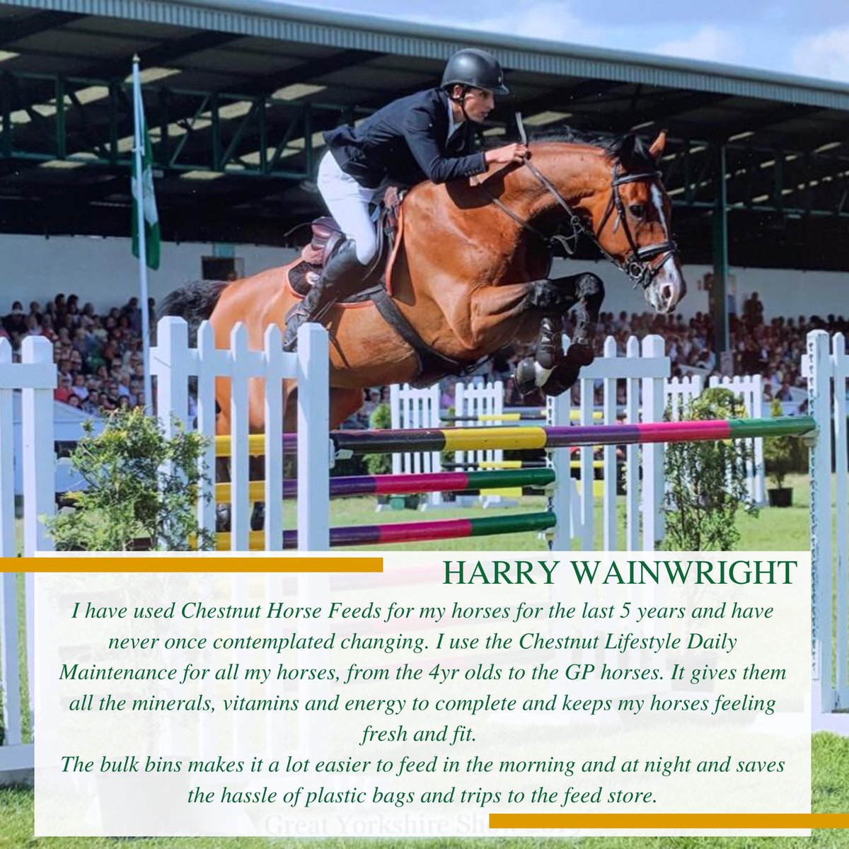 Chestnut Horse Feeds tweet media