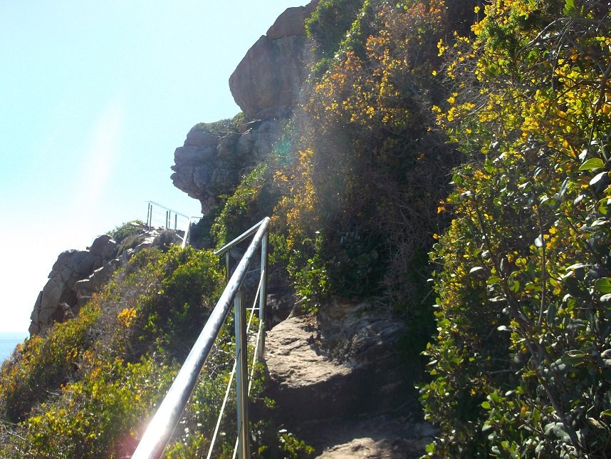 A1 Robberg in Plettenberg Bay... Awesome hike over changing terrain with the ocean below... Onky photos I got before dropping my camera down the rocks 🙈 #TravelChatSA