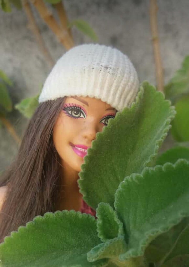 Barbie47566968's tweet photo. Fotos de seguidores 
followers photos#amei#love https://t.co/L6XM963McP