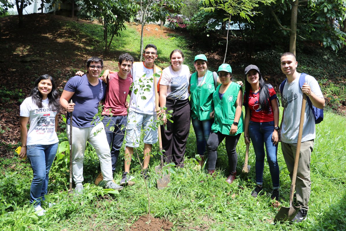 Hoy fue un día histórico para nuestra facultad y la @UNmedellin nuestra Decana <a href="/vboterof/">Verónica Botero Fdez 🌎⚒️🦠🌐🌈</a> firmó el manifiesto de Campus Sostenible, presentó la ecocarga para bicicletas y se sembraron 150 árboles por todo el campus, entre estudiantes, profesores y personal administrativo. 👏🌿🌍