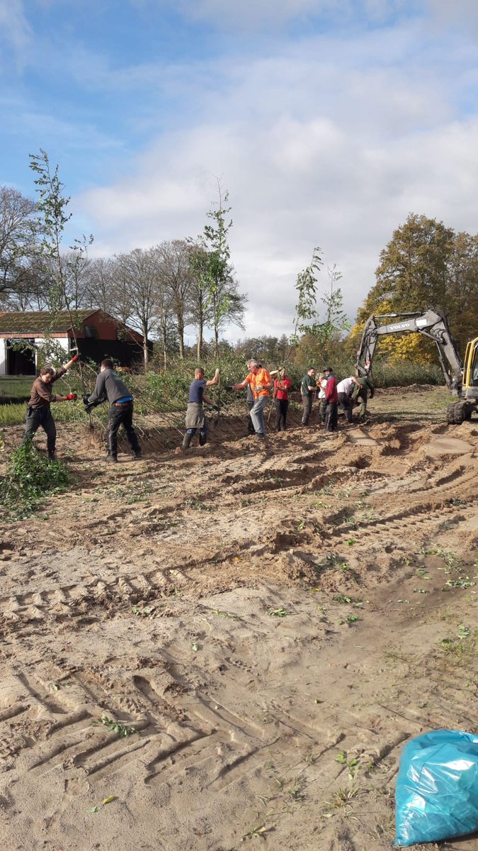 Harco Bergman tweet media