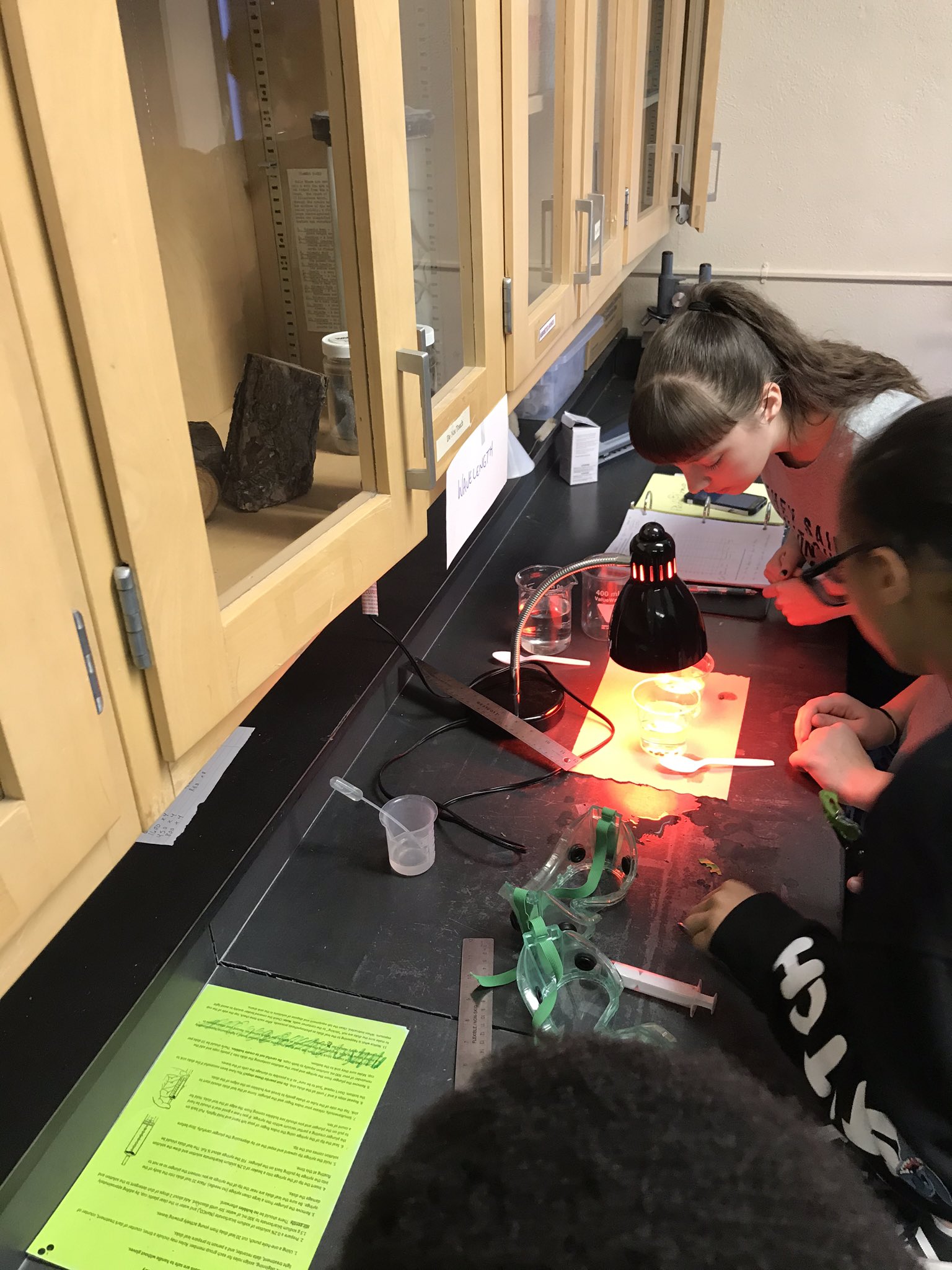 Benji George Leaf Disc Assay To Test Effects Of Different Variables On Rate Of Photosynthesis Mhsdaily19