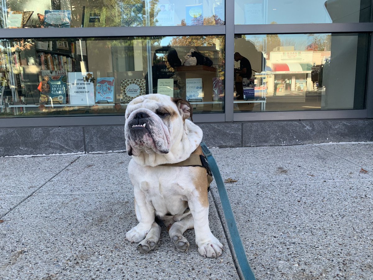 Just a brief reminder to stop at your library now and then it’s like Netflix for books humans except the books are real and not digital...I know crazy right!? 😂🐶😇😎| #WednesdayVibes #wednesdaymorning #dogsoftwitter #bulldog #dog #pet #readtoachieve