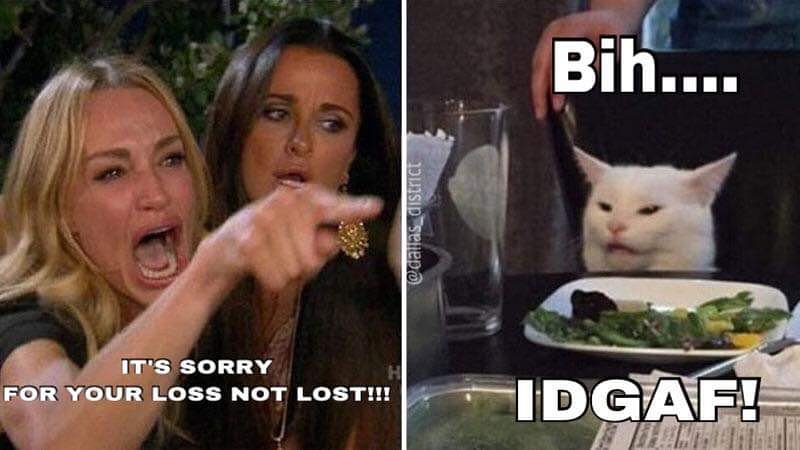 "Sorry for your lost" 🤷‍♂️😹😹😹
#smudgethecat #dallasdistrict