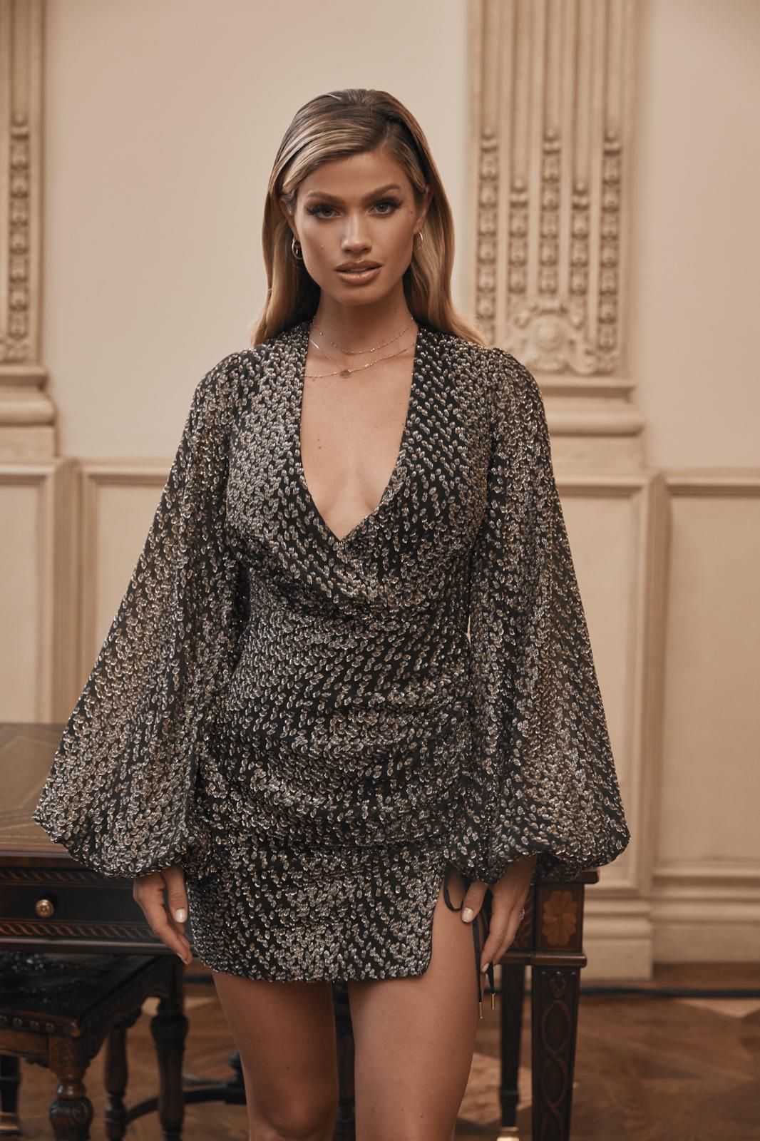 House of clearance cb silk dress