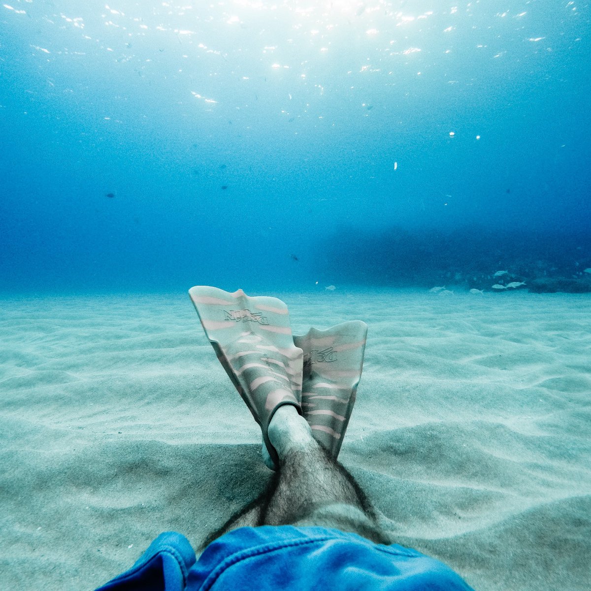 Best seat in the house. We'll need all the energy we can get to swim 🐠 down there. Good thing we have the #BestCoffeeOnEarth!