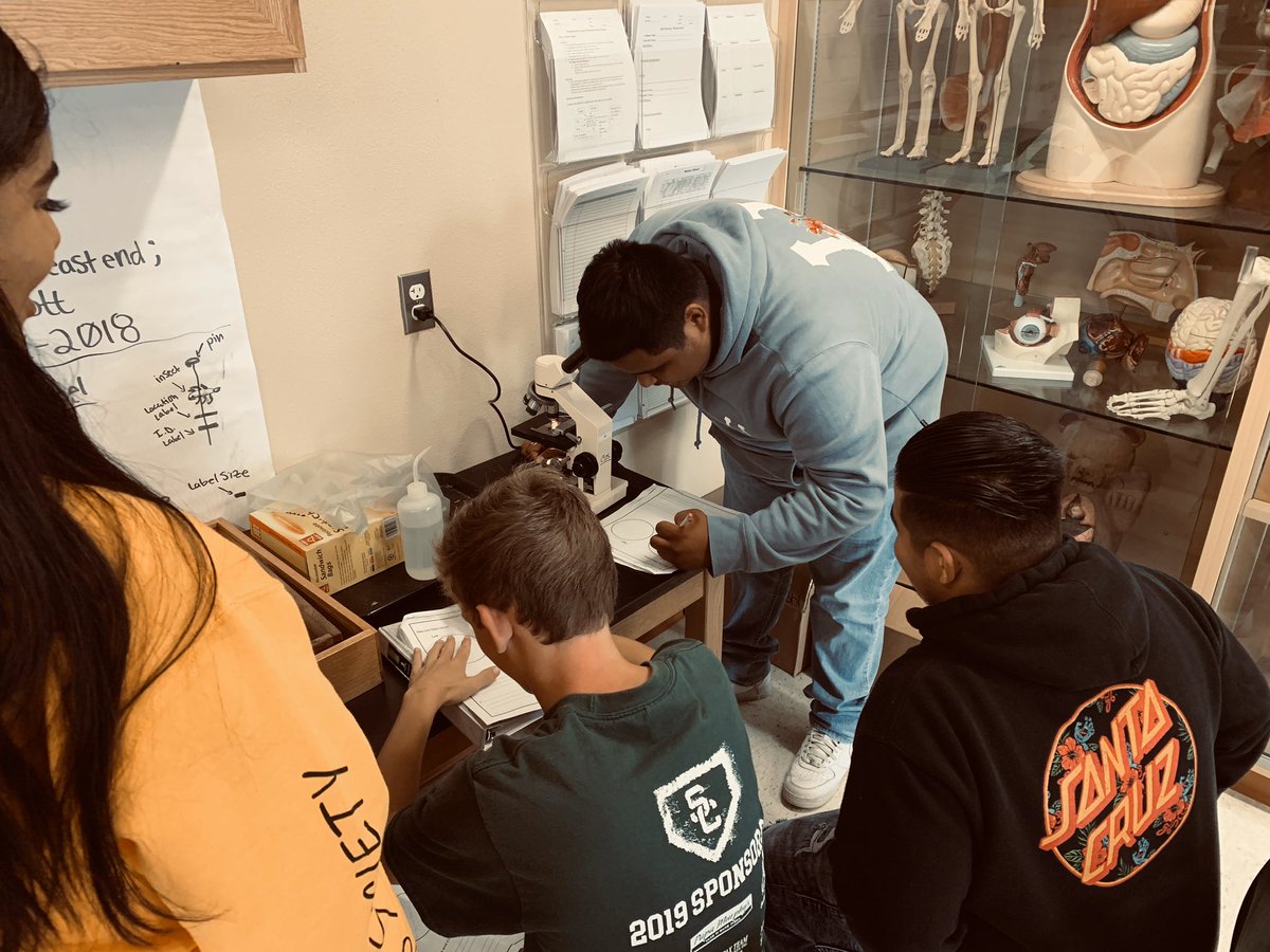 Analyzing the effects of Lichen on an ecosystem. #SCCAbears #burtonschools