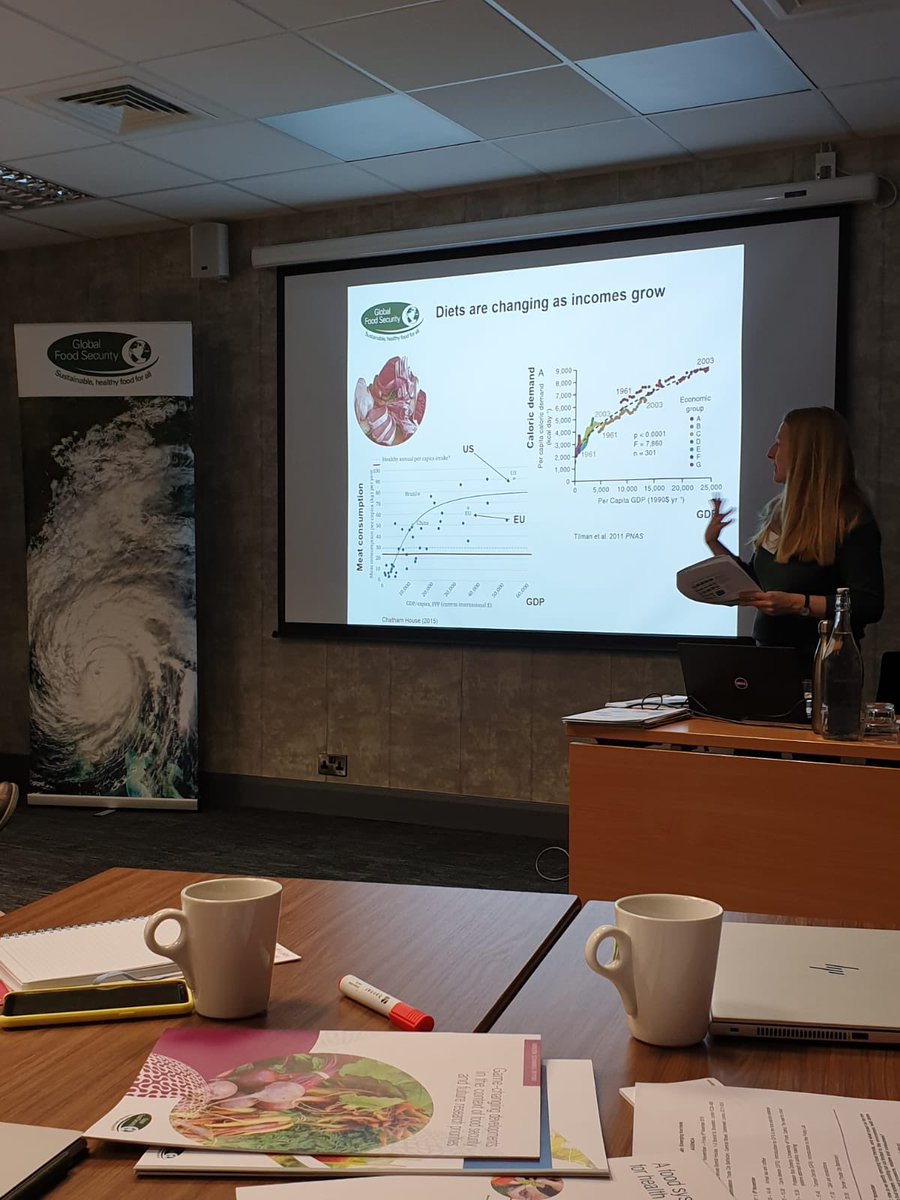 WildeLab's tweet image. Kathrin from @WildeLab is attending the policy lab on emerging food trends with the 
@FoodSecurityUK
What problem of the global food system would you tackle? #malnutrition #diabetes #climatechange #sustainableresources #healthydiet #fiveaday #obesity