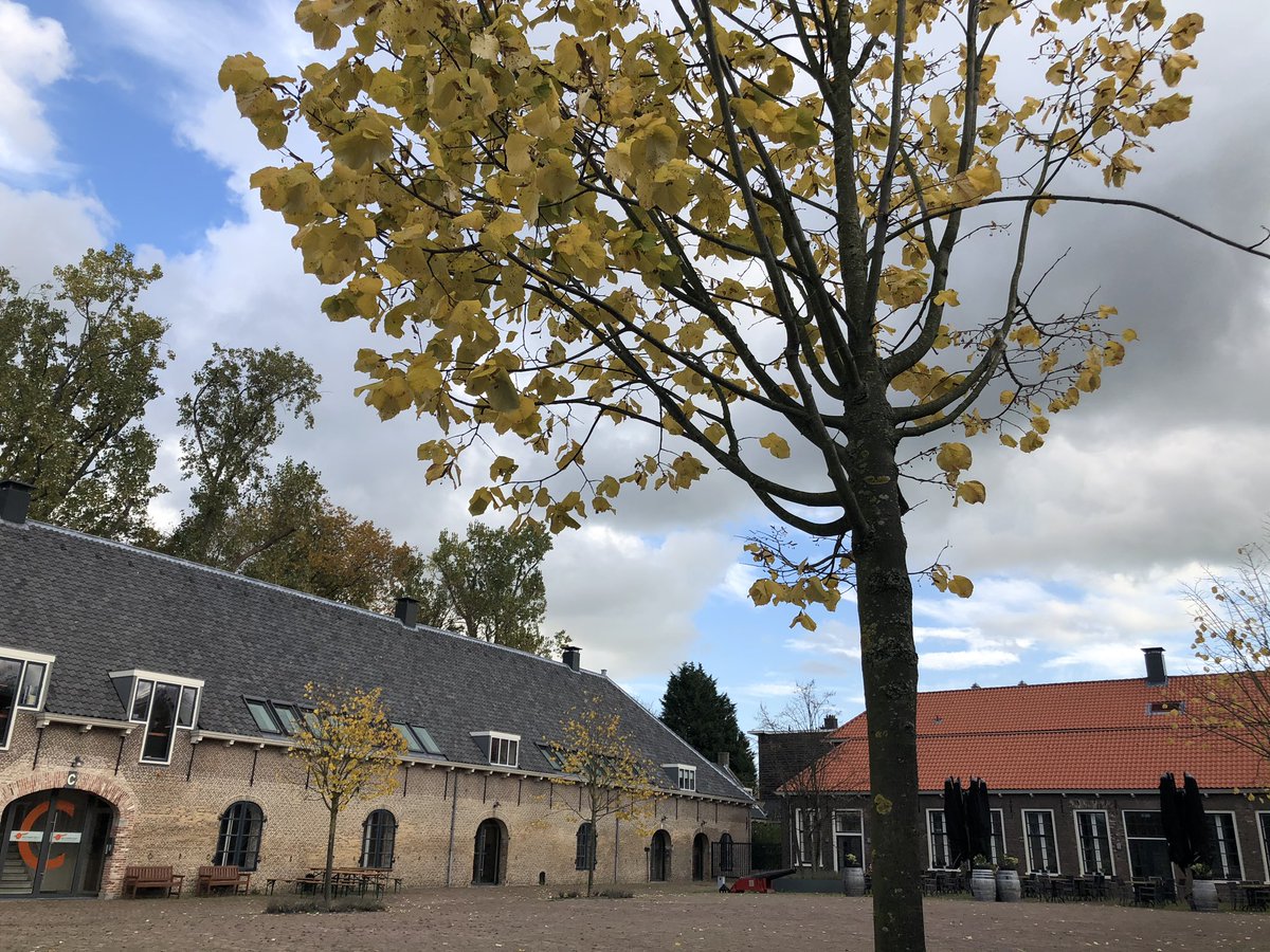Magda The (@magda_the) on Twitter photo Van klooster van de orde van St. Clara (15e eeuw) naar een militaire opslagplaats (17e eeuw) tot een powerhub voor scale-up bedrijven in de offshore- en energiesector vandaag de dag. Dit is in het kort <a href="/BuccaneerDelft/">Buccaneer Delft</a> #innovatie #technologie #energiesector #offshore #scaleup Van klooster van de orde van St. Clara (15e eeuw) naar een militaire opslagplaats (17e eeuw) tot een powerhub voor scale-up bedrijven in de offshore- en energiesector vandaag de dag. Dit is in het kort <a href="/BuccaneerDelft/">Buccaneer Delft</a> #innovatie #technologie #energiesector #offshore #scaleup