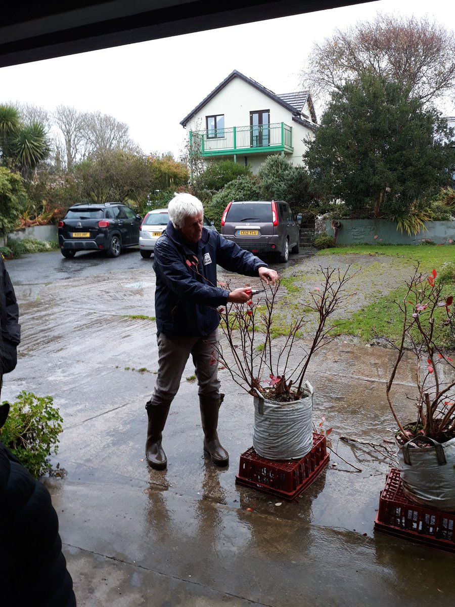 Great <a href="/TyfuCymru/">TyfuCymru</a> Soft Fruit Network in Pembrokeshire today <a href="/ADAS_Hortic/">ADAS Horticulture</a> practical event for commercial growers with expert advice and #horticulturetraining on cherry, blueberry and strawberry crops #accessagronomyadvice