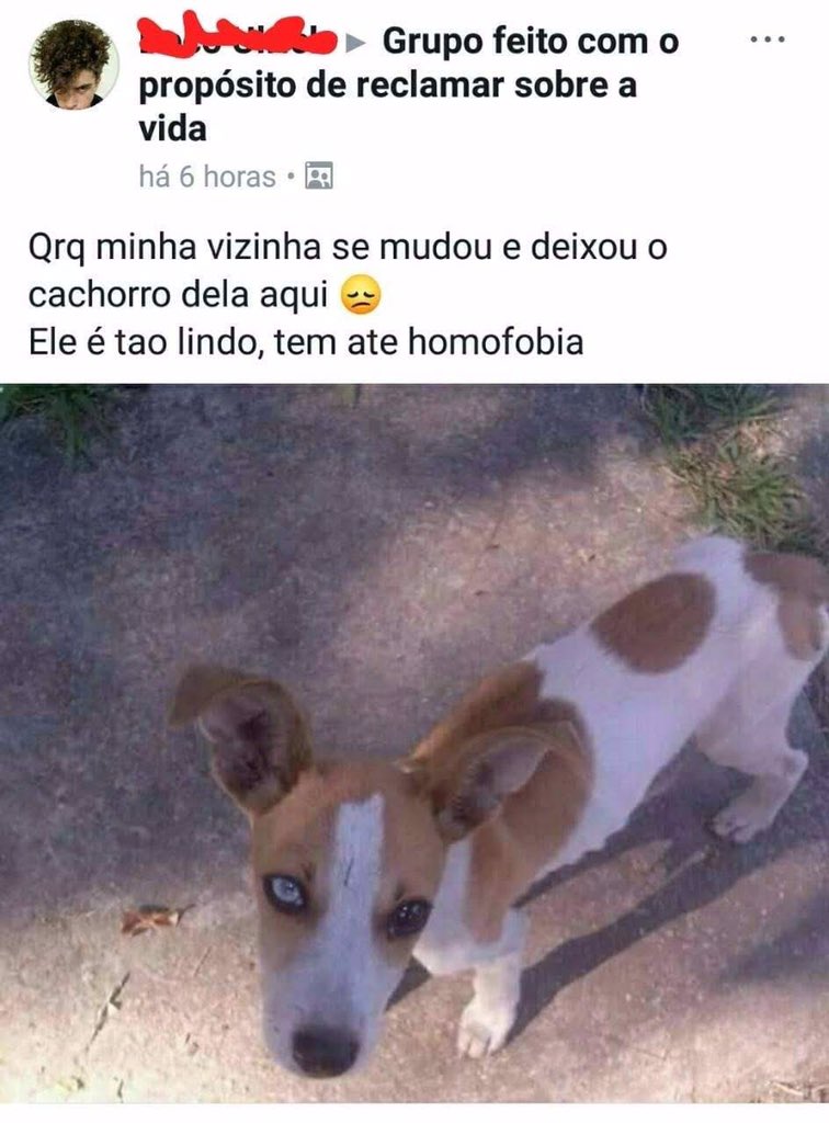 coisas c nome errado (@nomeserrados) on Twitter photo 