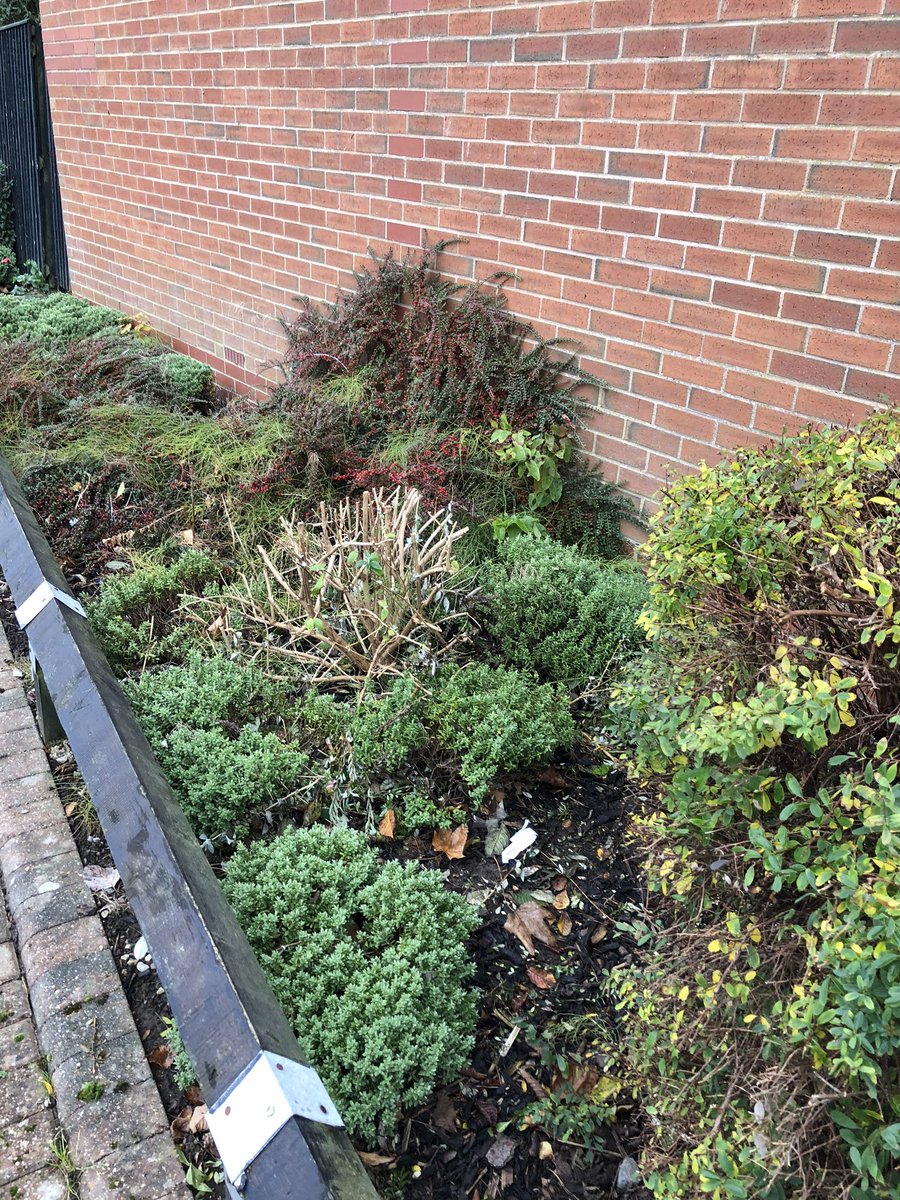 Super impressed by the standard of landscaping services @placesforpeople for our customers #CustomerExperience Great day spent with Stan, Regional Operations Manager, Landscapes Team working in collaboration #pfpspirit #innovation #support #collaboration #landscaping