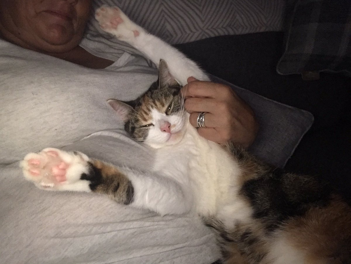 Joanne balcomb tweet media