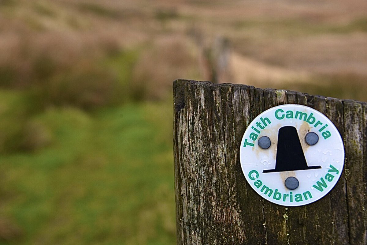 VisitCambMtns's tweet photo. Through the Cambrian Mountains mist, we discovered the @TheCambrianWay today with @IoloWilliams2  @BBCWales @RamblersCymru @WalkersrWelcome @visitceredigion #findyourepic #gwladgwlad https://t.co/QYZTI2t3mJ