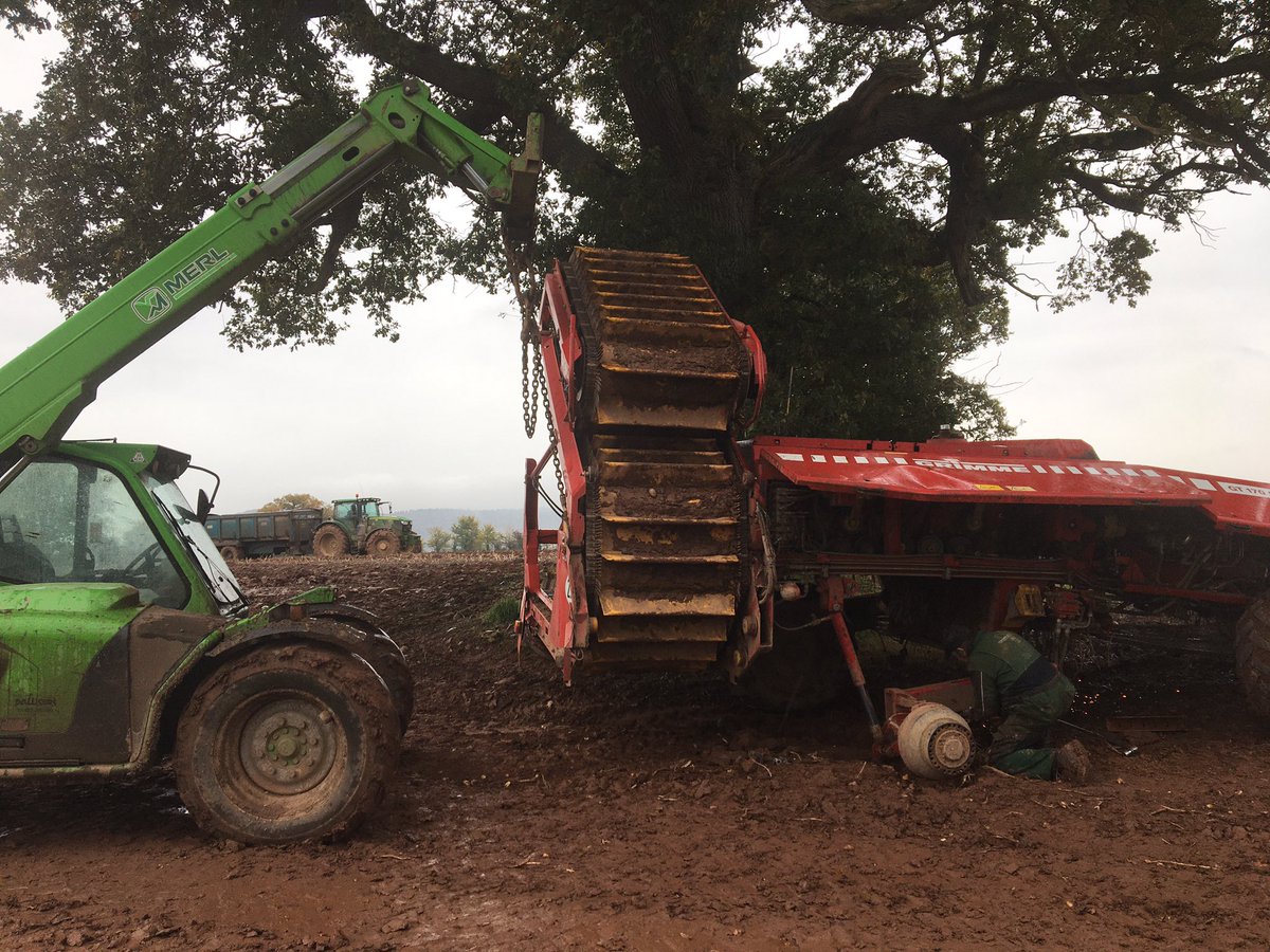HuffleLtd's tweet photo. Another harvest casualty https://t.co/HgcGAkH4NK