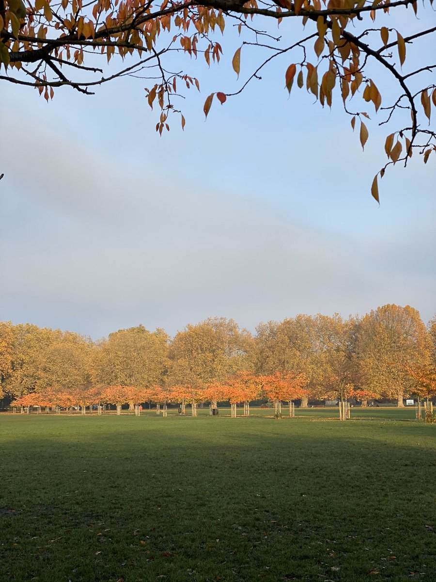JackieSmith_nmc's tweet image. Stunning autumn colours in Battersea park this morning. #exercisematters